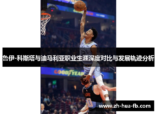 鲁伊-科斯塔与迪马利亚职业生涯深度对比与发展轨迹分析