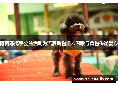 陈雨菲携手公益活动为流浪动物送去温暖与食物传递爱心