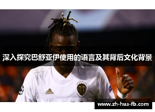 深入探究巴舒亚伊使用的语言及其背后文化背景