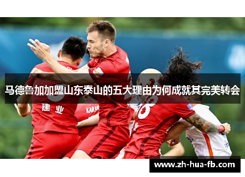 马德鲁加加盟山东泰山的五大理由为何成就其完美转会 马德鲁加加盟山东泰山的五大理由为何成就其完美转会