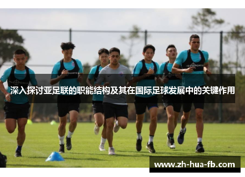 深入探讨亚足联的职能结构及其在国际足球发展中的关键作用 深入探讨亚足联的职能结构及其在国际足球发展中的关键作用