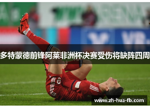 多特蒙德前锋阿莱非洲杯决赛受伤将缺阵四周