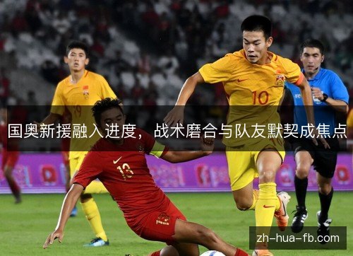 国奥新援融入进度,战术磨合与队友默契成焦点 国奥新援融入进度,战术磨合与队友默契成焦点